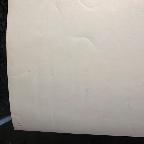 Vintage 1961 Warner Bros "Susan Slade" Movie Still With Troy Donahue Connie Stev - Picture 13 of 13